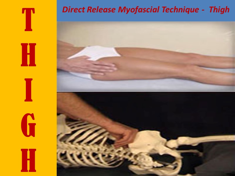 T H I G H  Direct Release Myofascial Technique -  Thigh